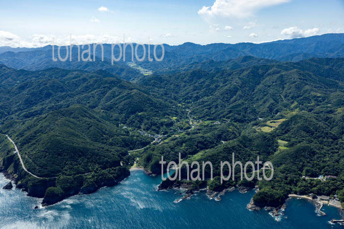 本根岬,子安海岸より伊豆の山並み