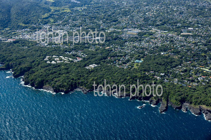 城ケ崎南地区の柱状節理の海岸