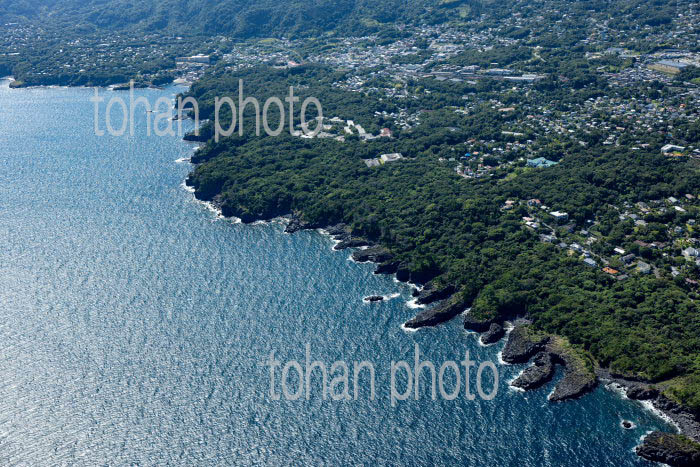 城ケ崎南地区の柱状節理の海岸