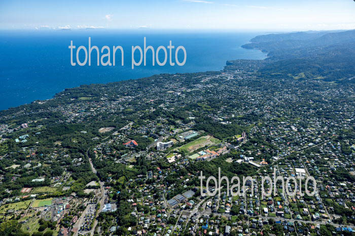 伊豆高原の別荘地群より相模湾