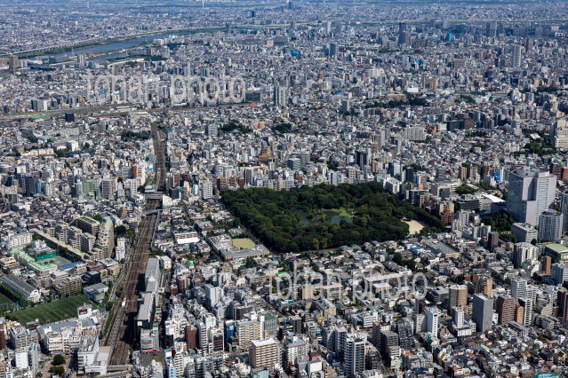 巣鴨駅,駒込駅周辺の街並みと都立六義園
