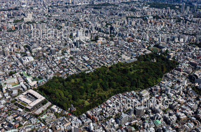 小石川植物園(東京大学付属植物園)周辺