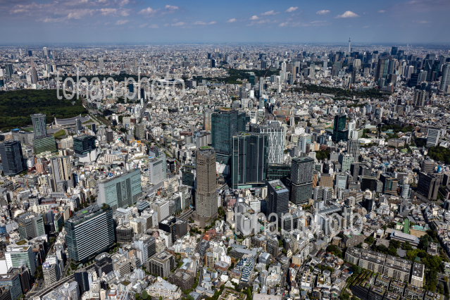 渋谷駅周辺より東京の街並み