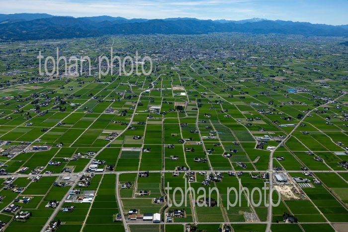 砺波平野の散村風景(醍醐地区より砺波駅方面)