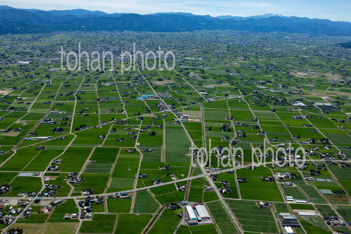 砺波平野の散村風景(高波地区より砺波駅方面)