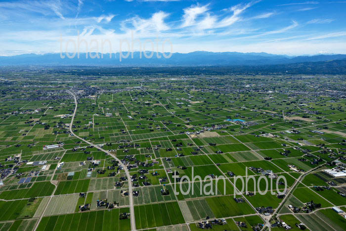 砺波平野の散村風景(道明地区より砺波駅方面)
