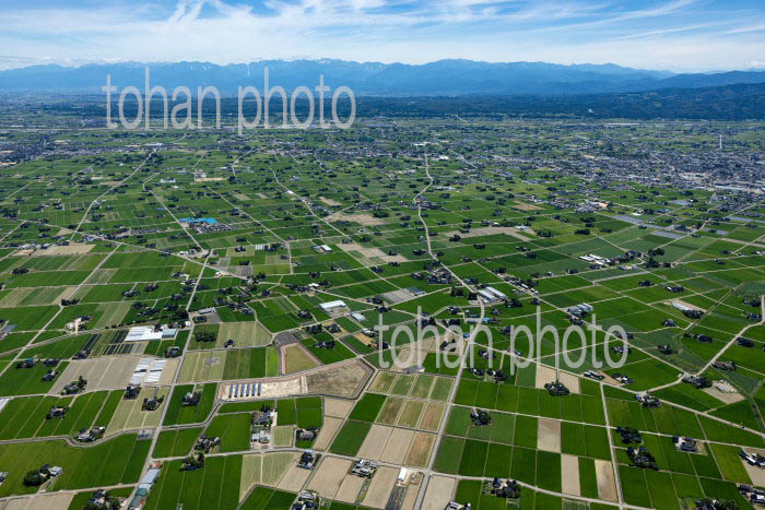砺波平野の散村風景(東中地区より砺波駅方面)