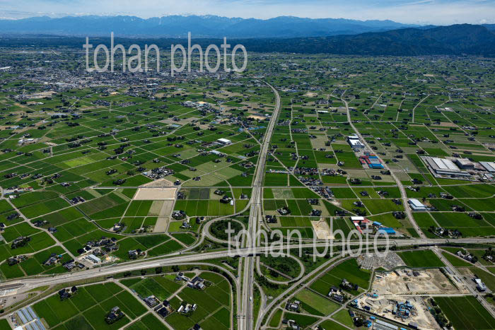砺波平野の散村風景(小矢部砺波JCT周辺より砺波駅方面)
