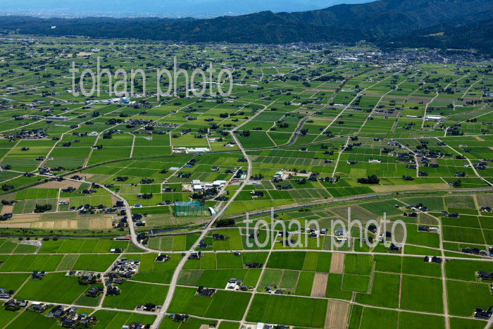 砺波平野の散村風景(田尻地区より砺波の町方面)
