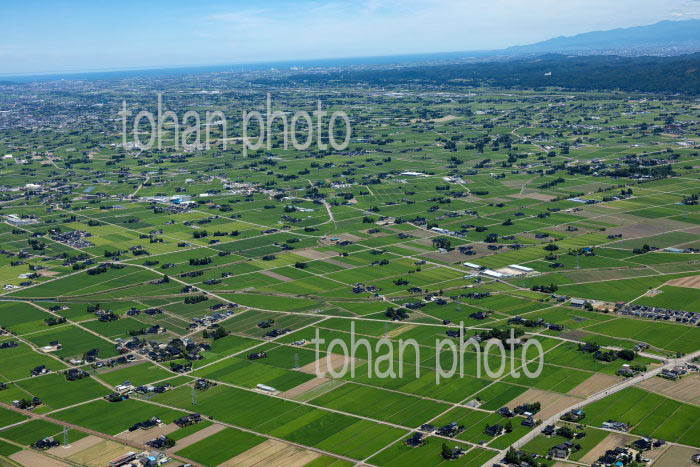 砺波平野の散村風景(江田地区より砺波の町方面)
