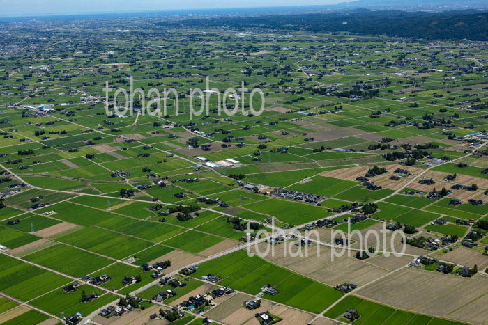 砺波平野の散村風景(安清,田屋地区より砺波の町方面)