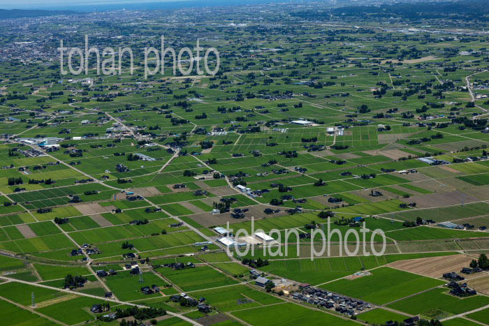 砺波平野の散村風景(安清地区より砺波の町方面)