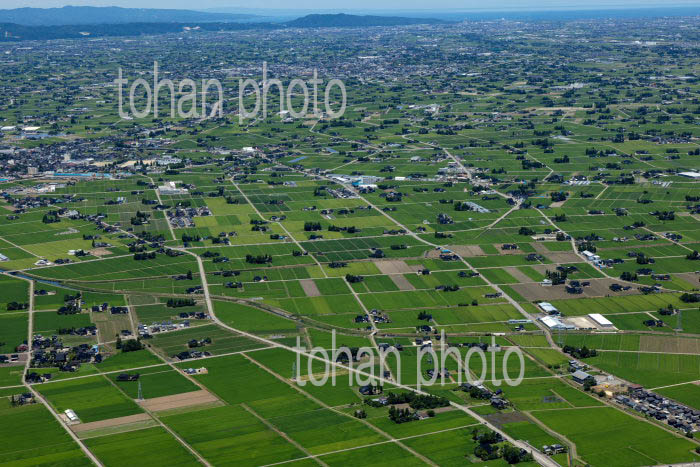 砺波平野の散村風景(江田地区より砺波の町方面)