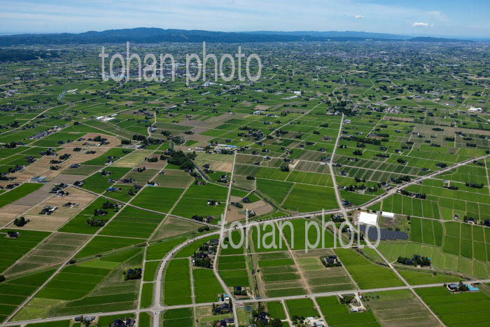 砺波平野の散村風景(三浦東,沖地区より砺波の町方面)