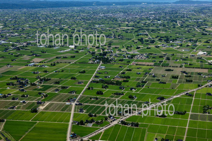 砺波平野の散村風景(北市地区より砺波の町方面)