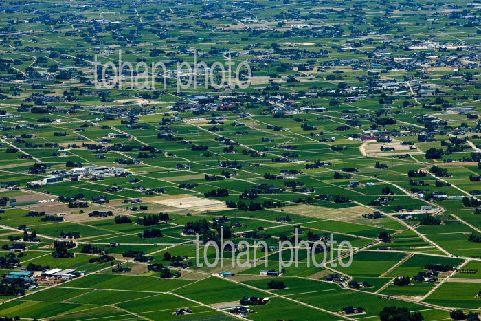 砺波平野の散村風景(野村島地区)