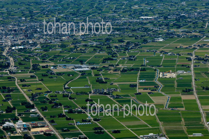 砺波平野の散村風景(庄川地区)