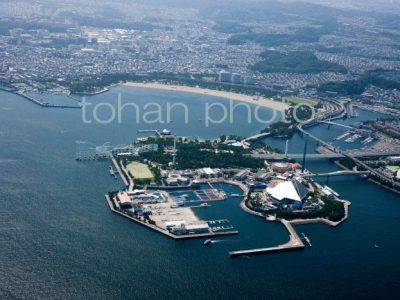 八景島シーパラダイス,海の公園-(2013,07)