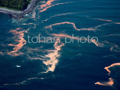 静岡県東伊豆沖-2015,05