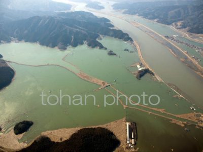 東日本大震災北上川,北上町付近(宮城県石巻市)20110311