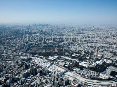 雪景色の上野駅と上野公園より富士山-20130115