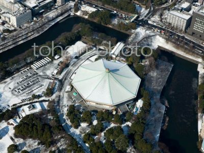 雪景色の日本武道館(北の丸公園）-20130115