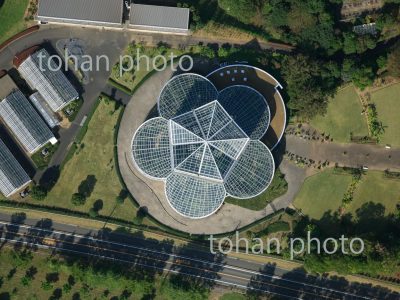 茨城県植物園、熱帯植物館