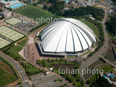 ユアテックスタジアム仙台,宮城