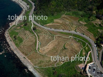 白米千枚田-石川