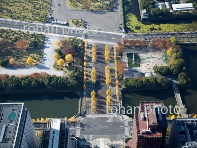 日比谷通り,和田倉門付近のイチョウ並木と和田倉噴水公園-東京