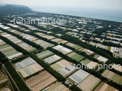 庄内地区の防風林とビニールハウス群(長崎地区)-山形