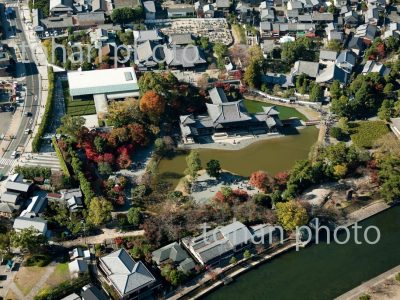 平等院周辺(浄土院と最勝院)-京都