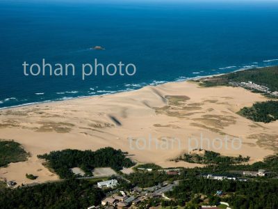 鳥取砂丘(海岸砂丘より日本海-鳥取