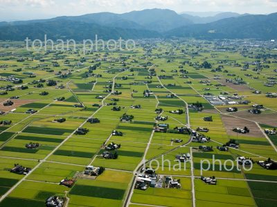 砺波平野と散村(南砺波周辺)-富山