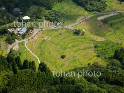 棚田群(平塚地区)-千葉