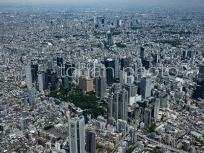 初台付近より新宿駅(2023,05)