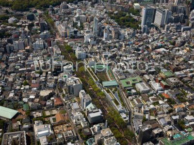 表参道より原宿駅(2010,05)