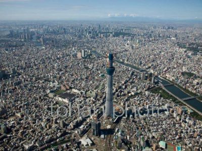 東京スカイツリー建設中より東京の街並み(2010,09)